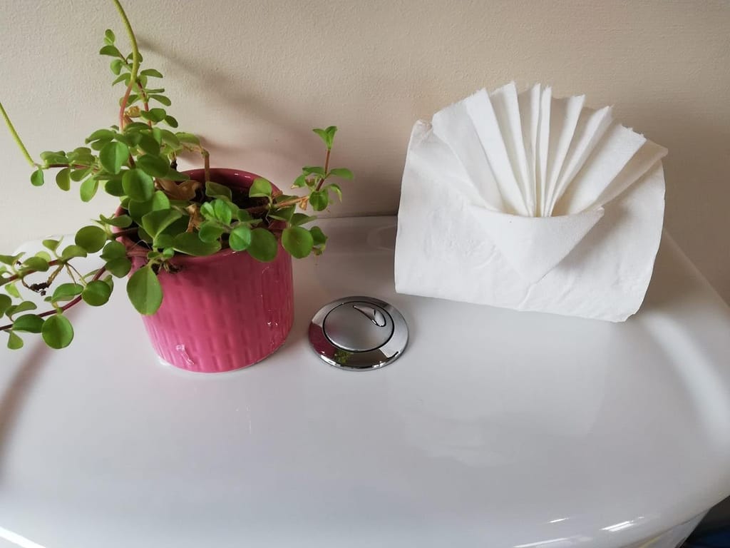 Claret Soft Napkin 27x30 cm, Pink, 100 Sheets, 1-Ply, Highly Absorbent & Super Soft, Ideal for Home, Restaurants, Office - Pack of 4