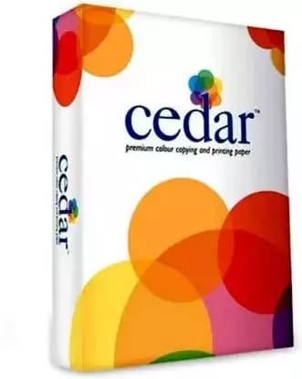 JK Cedar : 100 GSM - A3