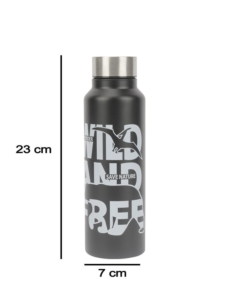 Market99 Stainless Steel 750Ml Water Bottles