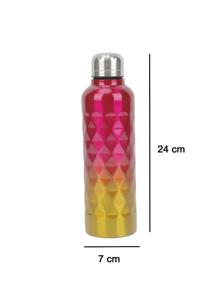 Market99 750Ml Gradient Color Stainless Steel Water Bottles
