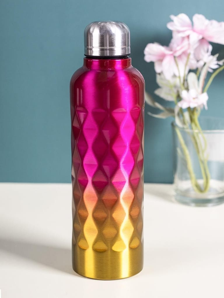 Market99 750Ml Gradient Color Stainless Steel Water Bottles