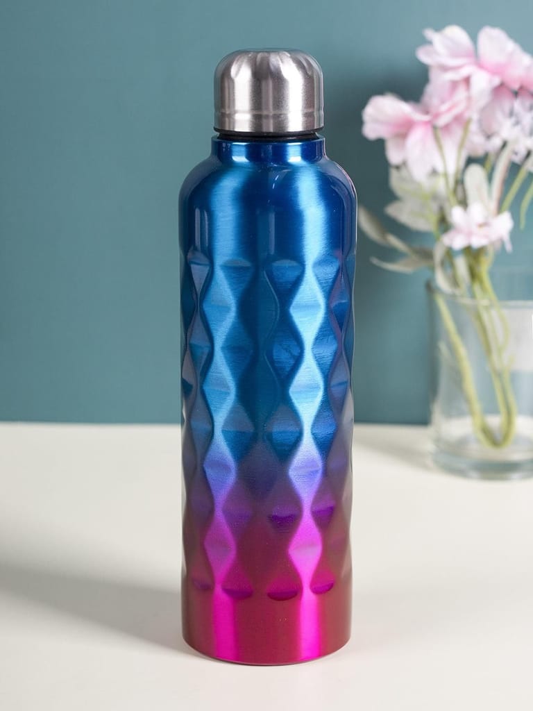 Market99 750Ml Gradient Color Stainless Steel Water Bottles