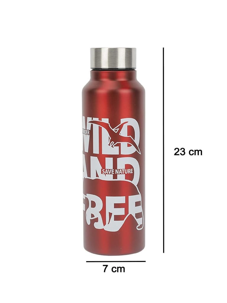 Market99 Stainless Steel 750Ml Water Bottles