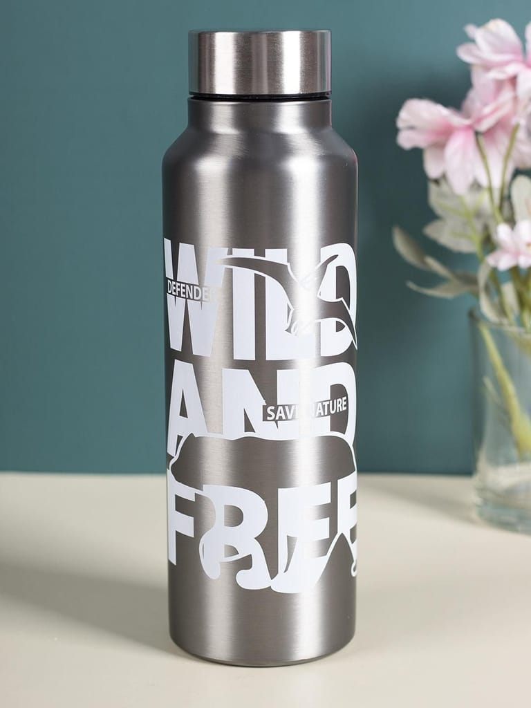 Market99 Stainless Steel 750Ml Water Bottles