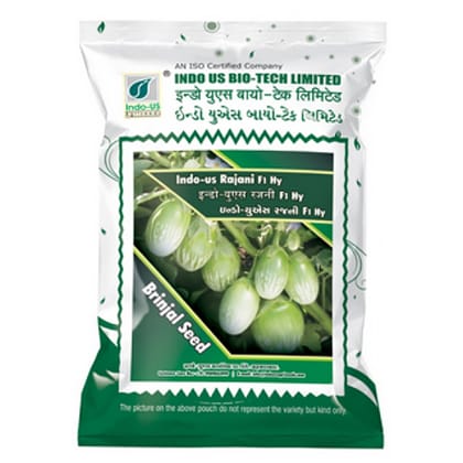 BRINJAL SEEDS INDO US RAJANI F1 HY (10 GM) BRINJAL SEEDS INDO US RAJANI F1 HY (10 GM)