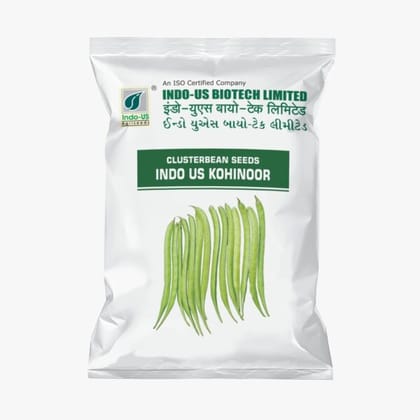 CLUSTERBEAN SEEDS INDO US KOHINOOR (500 GM) CLUSTERBEAN SEEDS INDO US KOHINOOR (500 GM)
