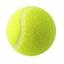 Cricket Tennis Ball
