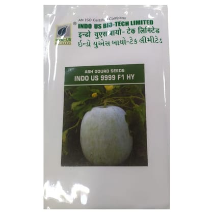 ASH GOURD SEEDS INDO US 9999 F1 HY (50 GM)