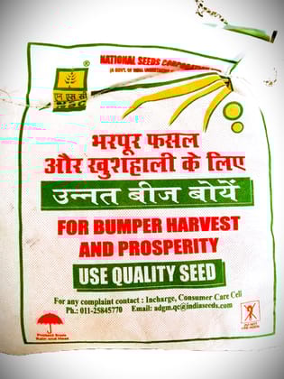 NSC Berseem, BL - 43 Variety, 2 Kg Certified Seed bag