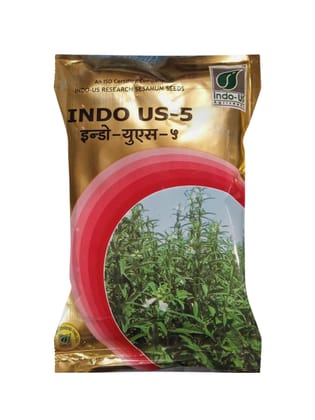 INDO US - 5 SESAMUM SEEDS INDO US - 5 SESAMUM SEEDS