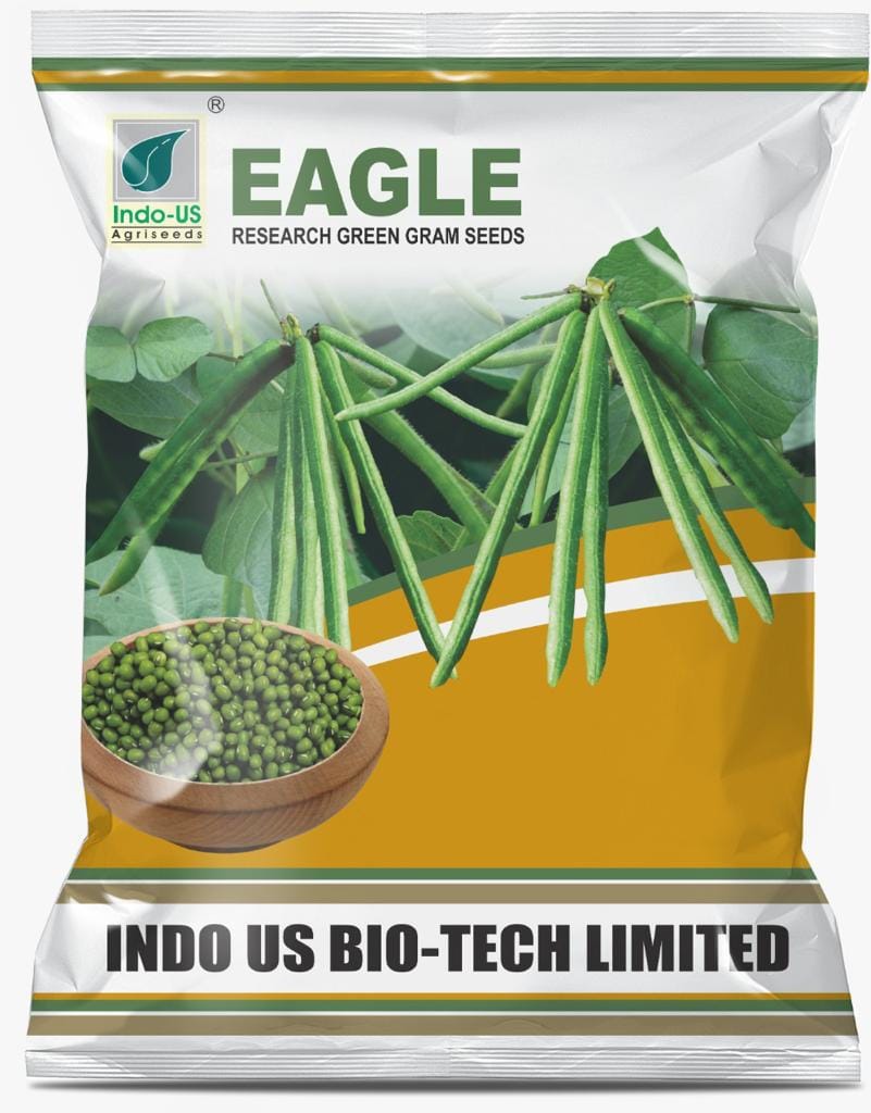  INDO US EAGLE Green Gram Seeds