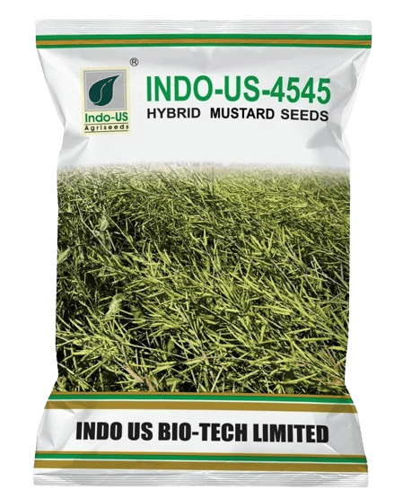 INDO-US-4545 Mustard Seeds