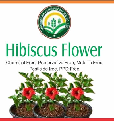 Hibiscus Flower  - Chemical Free, Preservative Free, Metallic Free, Pesticide Free, PPD Free