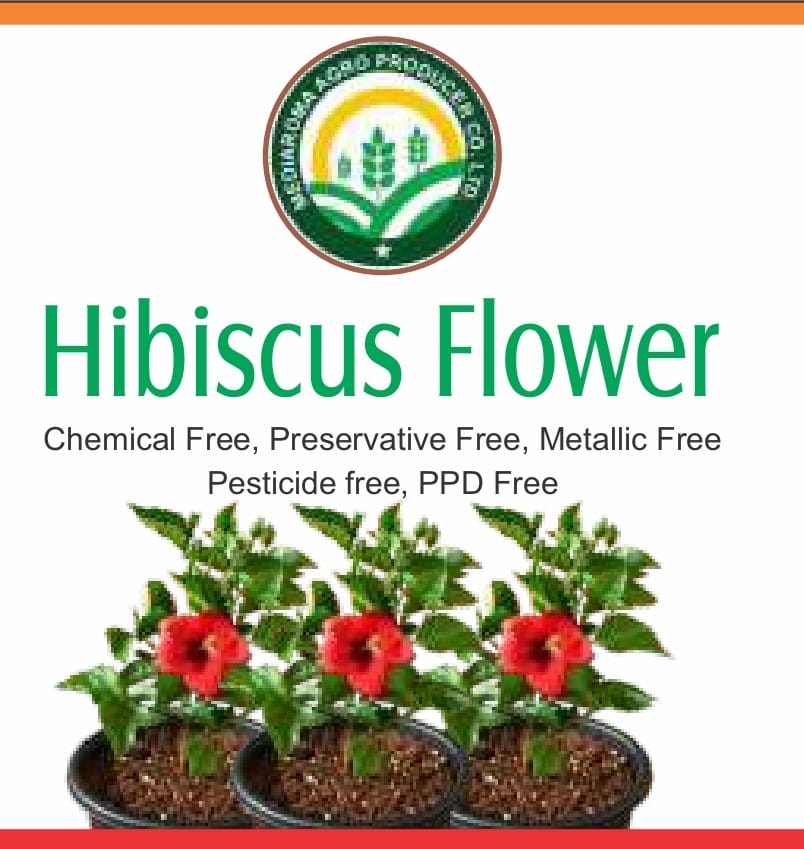 Hibiscus Flower  - Chemical Free, Preservative Free, Metallic Free, Pesticide Free, PPD Free