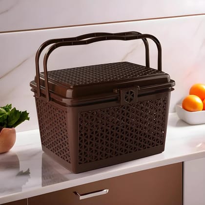 Storage Basket with Handles