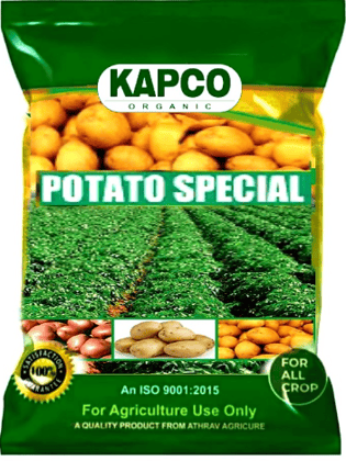 Kapco Potato Special