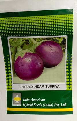 Brinjal Supriya [ Round - 14] [HY]