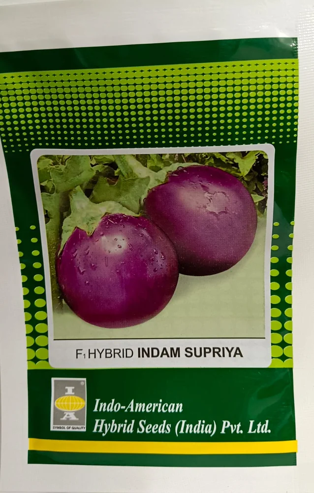 Brinjal Supriya [ Round - 14] [HY]