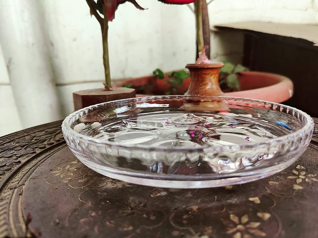 Patwari Arts Crystal Floral Design Serving Glass Plate for Home Kitchen and Dinning Table, 7X7 Inches Transparent Plates Pack- 1.