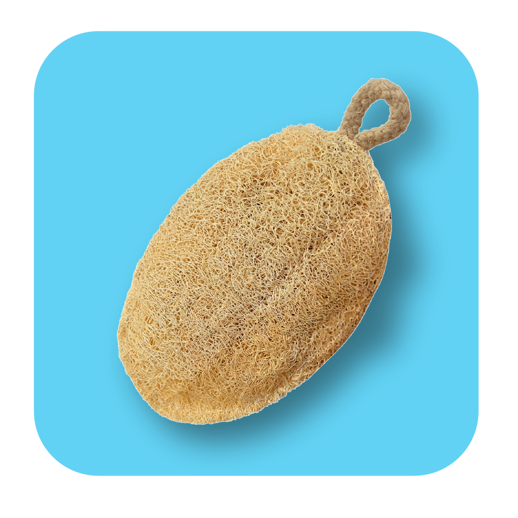 Careberry's Eco Friendly Organic Loofah | Gentle Exfoliator Sun Dried Luffa | Hypoallergenic Bath Sponge | Ideal Daily Body Wash Scrub | Sustainable Bathroom Essentials - Body Care - Loofah and Other Tools | Buy online on ZillyBuy