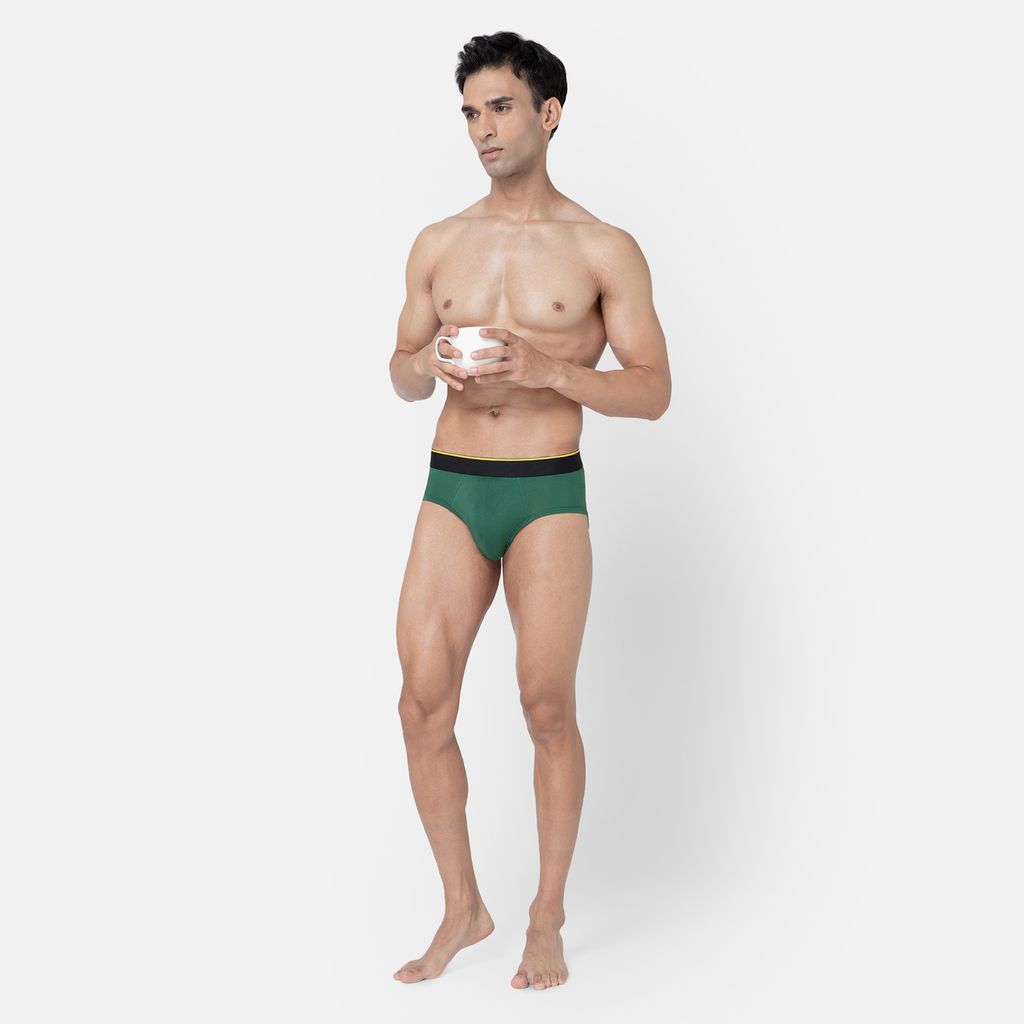 Bummer Men's Solid Micro Modal Briefs Underwear | Ultra Soft & Breathable - Palms