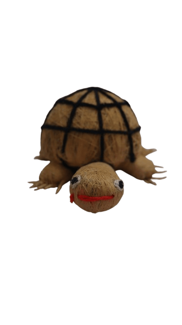 Handmade Coconut Fiber Turtle Home Decor