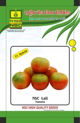 NSC Tomato Lali Hybrid, 10 gram Seed Pouch