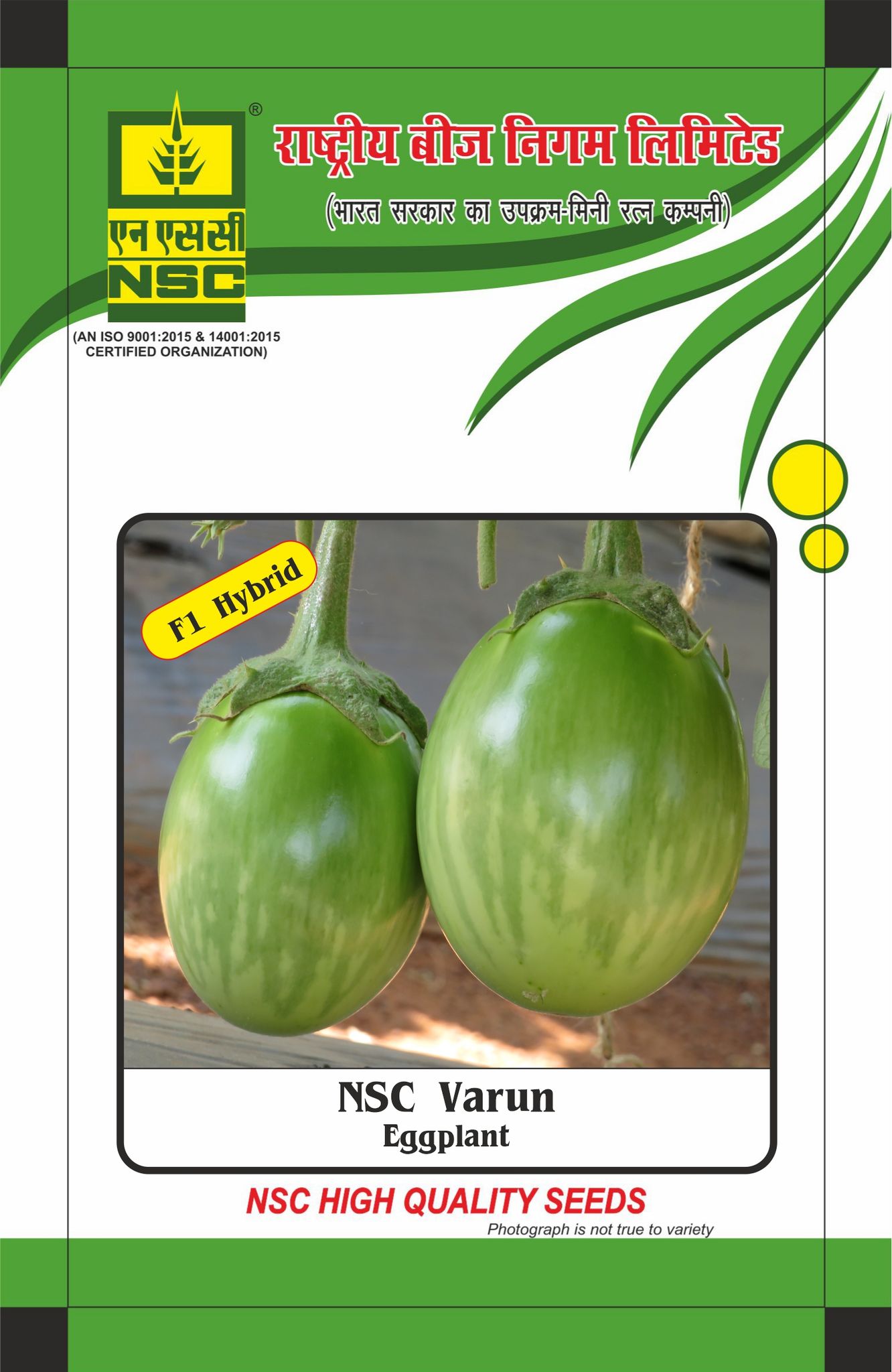 NSC Brinjal Varun Hybrid, 25 gram Seed Pouch