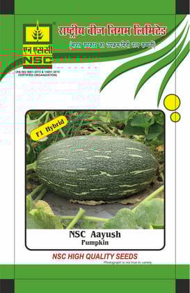 NSC Pumpkin Aayush Hybrid, 25 gram Seed Pouch