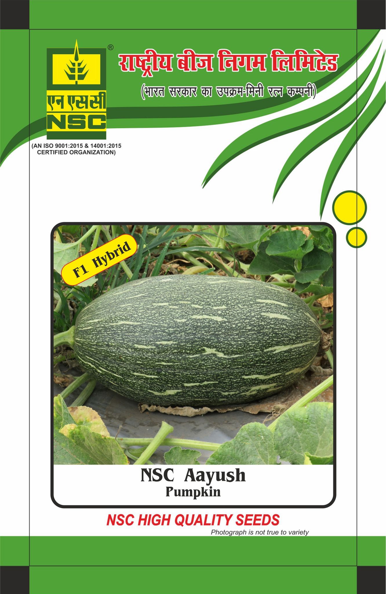 NSC Pumpkin Aayush Hybrid, 25 gram Seed Pouch