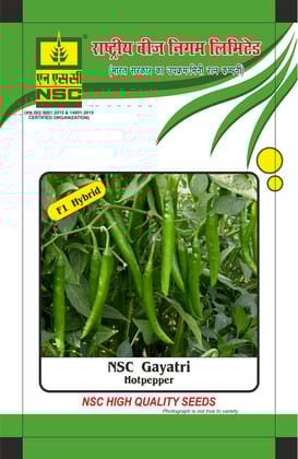 NSC Hot Pepper Gayatri Hybrid, 10 gram seed pouch