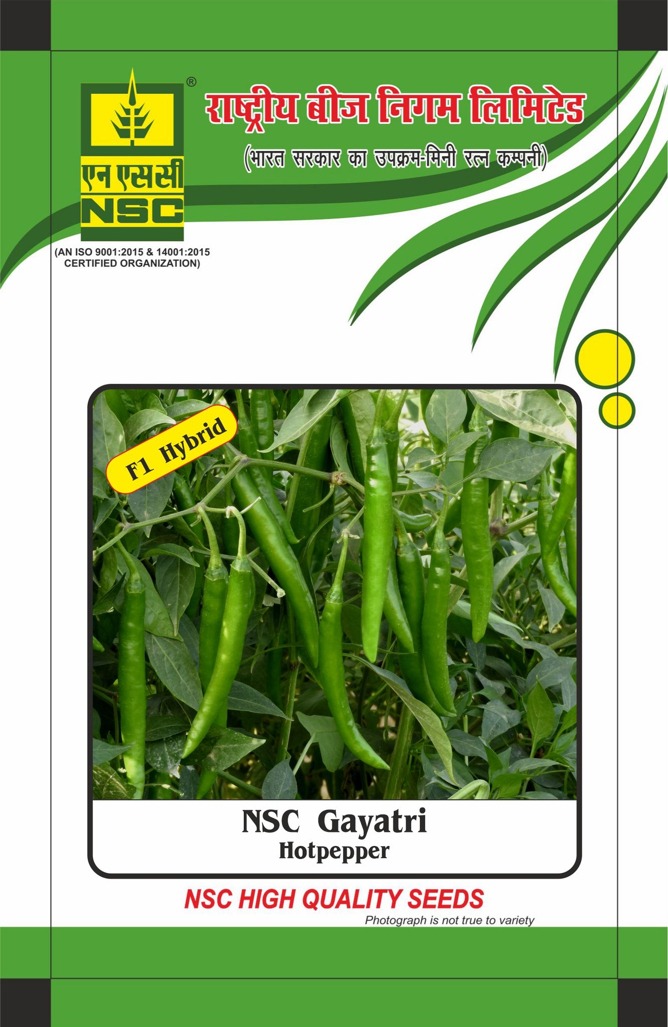 NSC Hot Pepper Gayatri Hybrid, 10 gram seed pouch