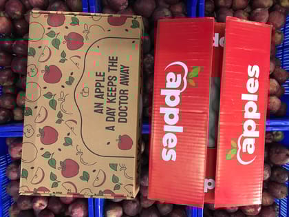 Himachal Apples "Fresh, Crisp, and Delicious Apples - Handpicked HIMKISSAN Apples Himachal Apples "Fresh, Crisp, and Delicious Apples - Handpicked HIMKISSAN Apples