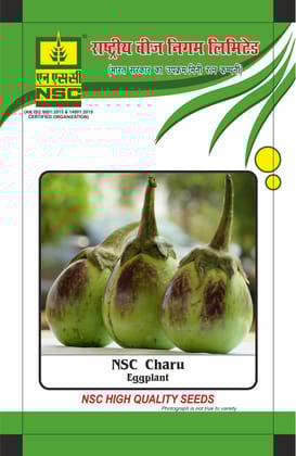 NSC Brinjal Charu Open-polinated Vareity, 10 gram Seed Pouch