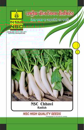 NSC Radish Chavvi Open-pollinated Variety, 25 gram  Seed Pouch