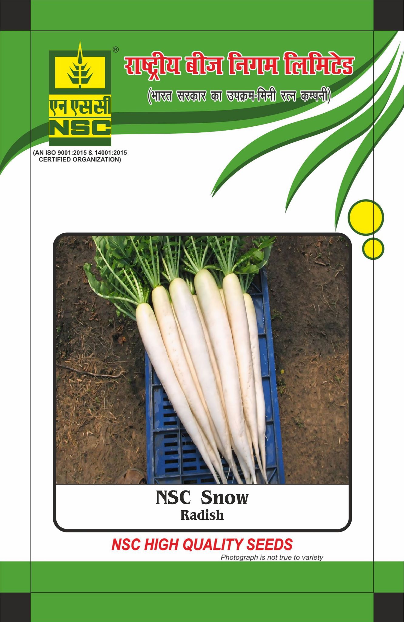 NSC Radish Snow Open-pollinated Variety, 50 gram Seed Pouch