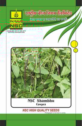 NSC Cowpea Shambhu Open-pollinated Vareity, 100 gram Seed Pouch