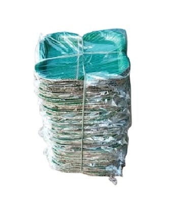 Green Paper Plates