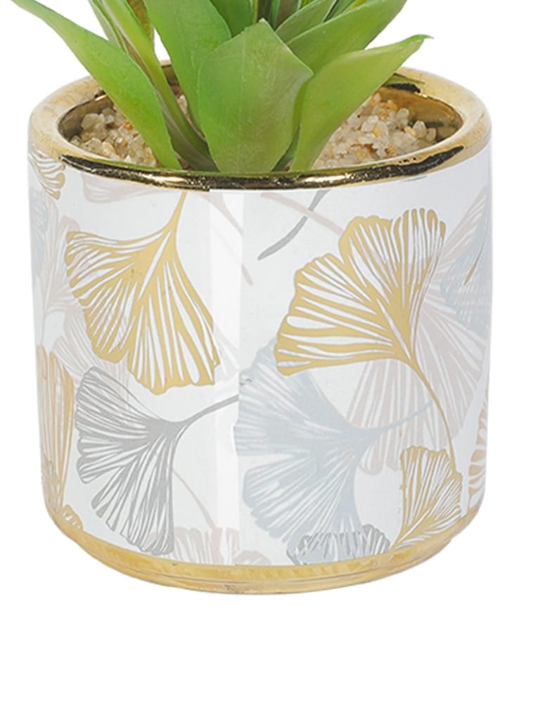 Market99 Fake Aloevera Desktop Planter