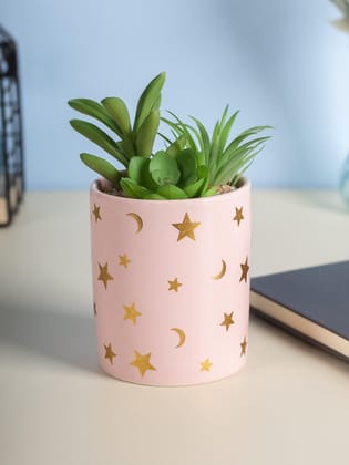 Market99 Fake Aloevera Planter Pot