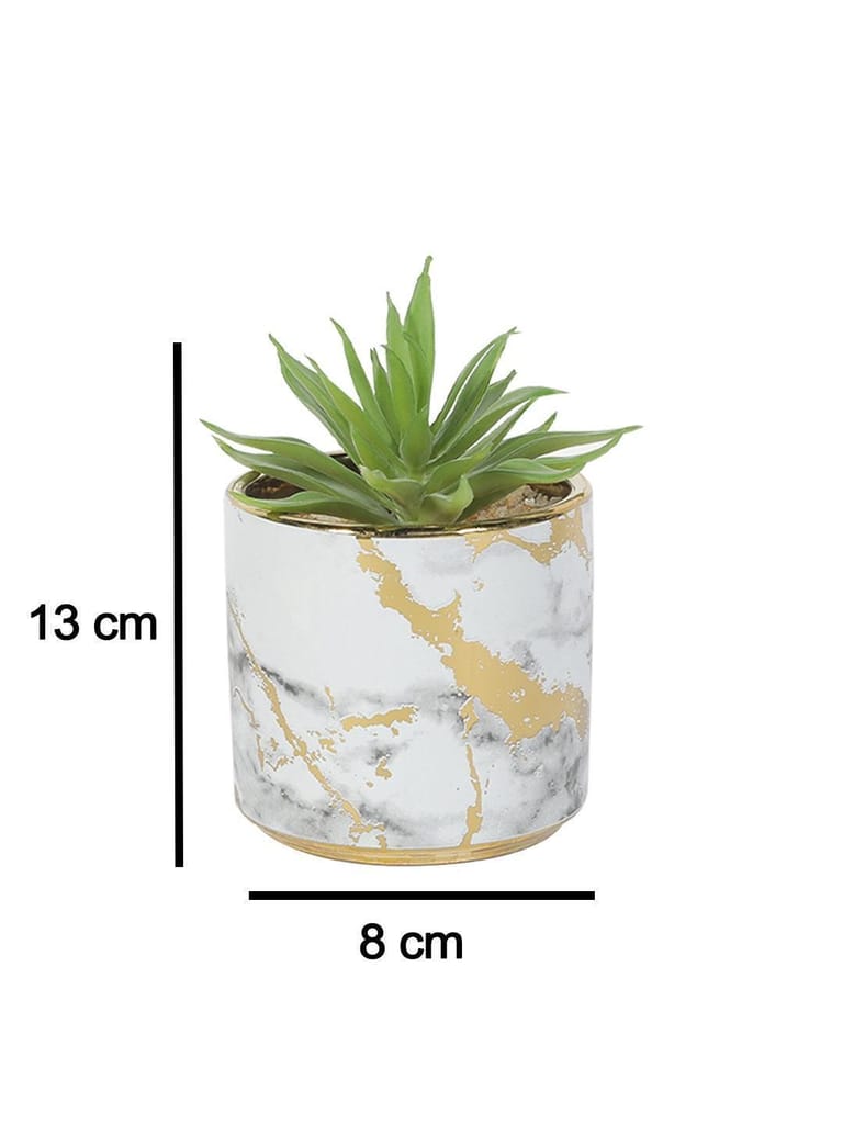 Market99 Fake Aloevera Desktop Planter