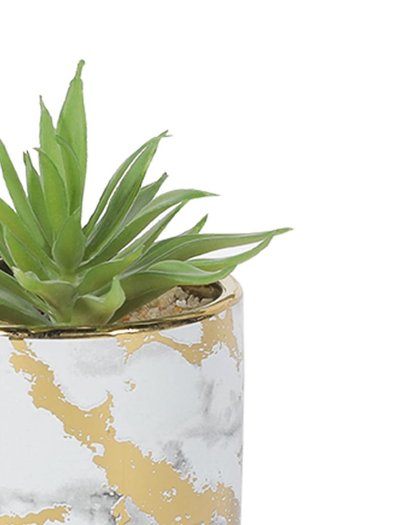 Market99 Fake Aloevera Desktop Planter