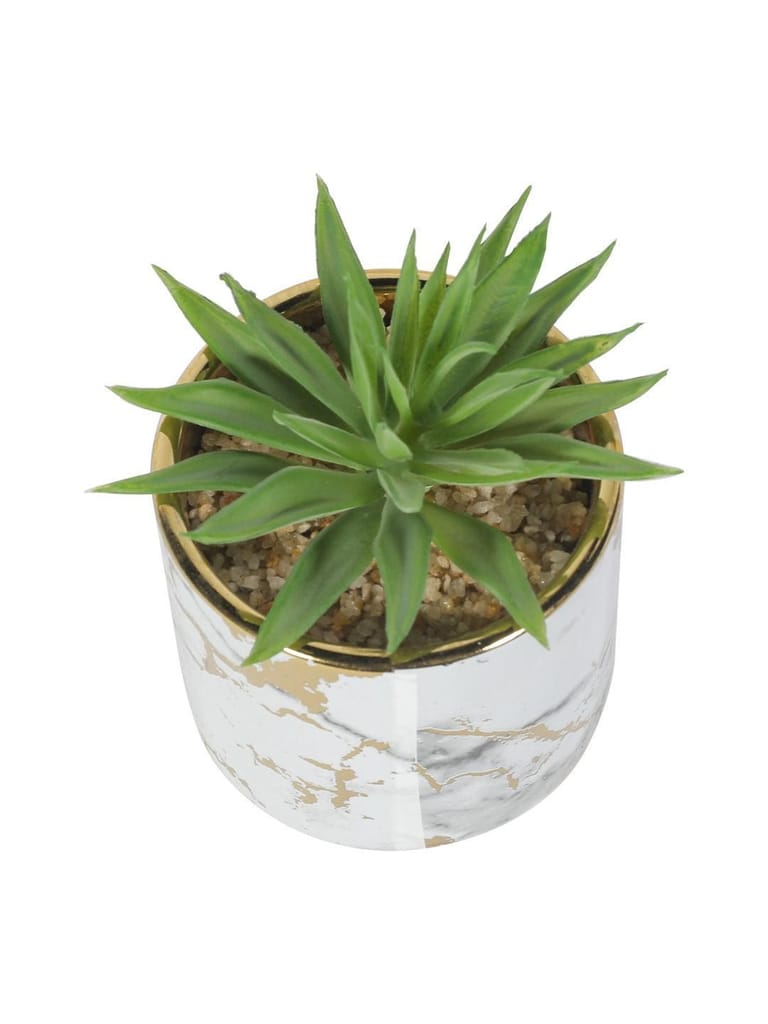 Market99 Fake Aloevera Desktop Planter