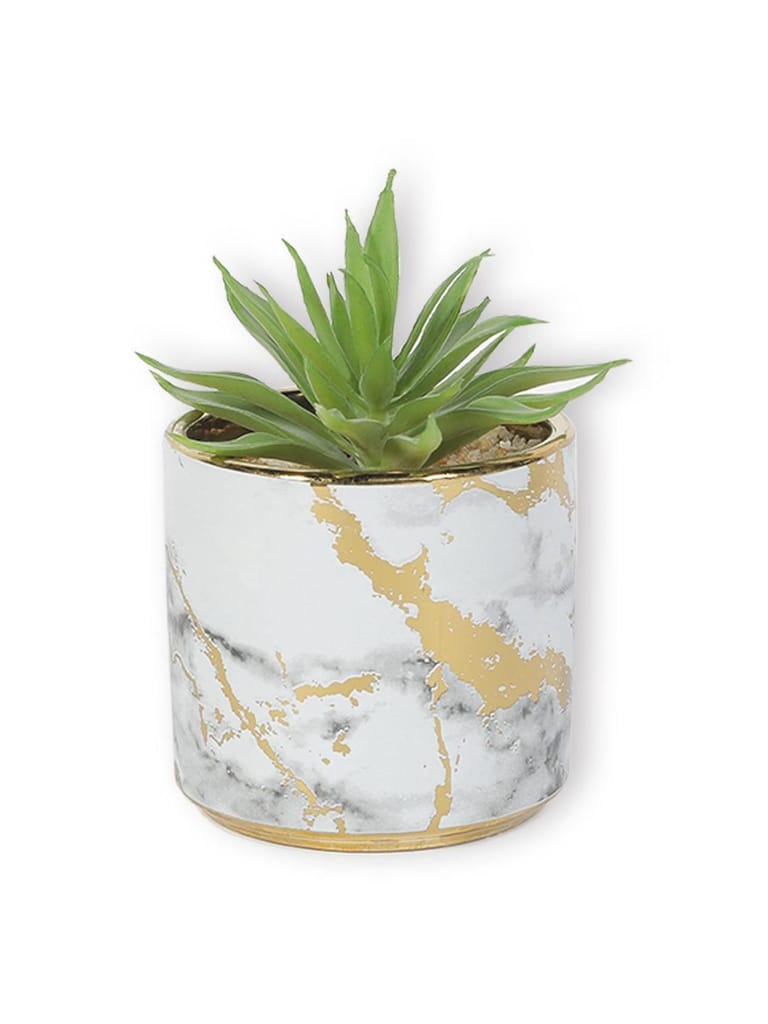 Market99 Fake Aloevera Desktop Planter