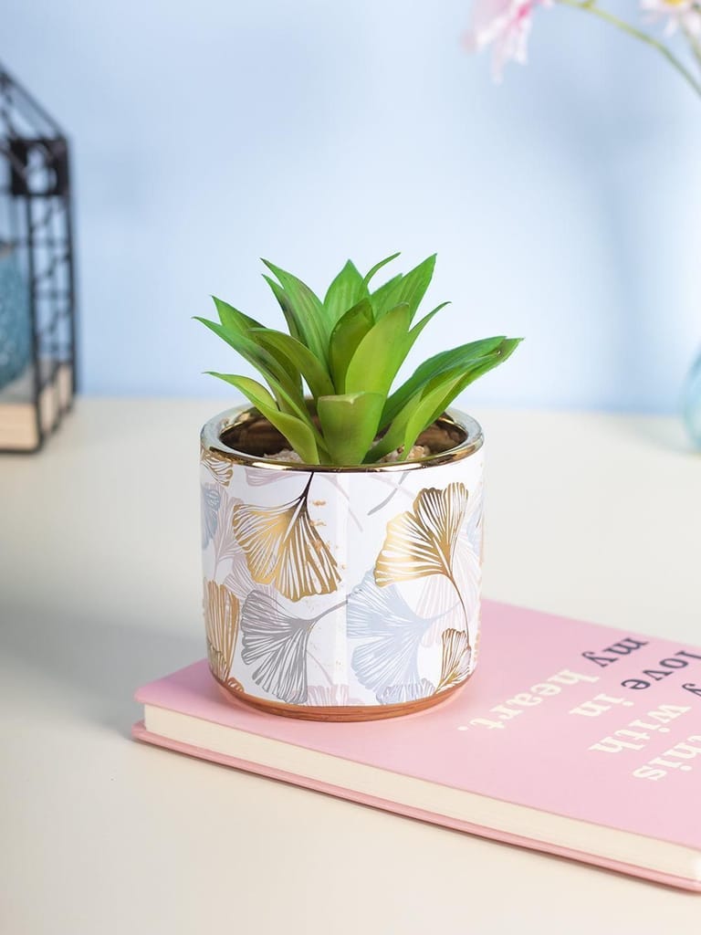 Market99 Fake Aloevera Desktop Planter