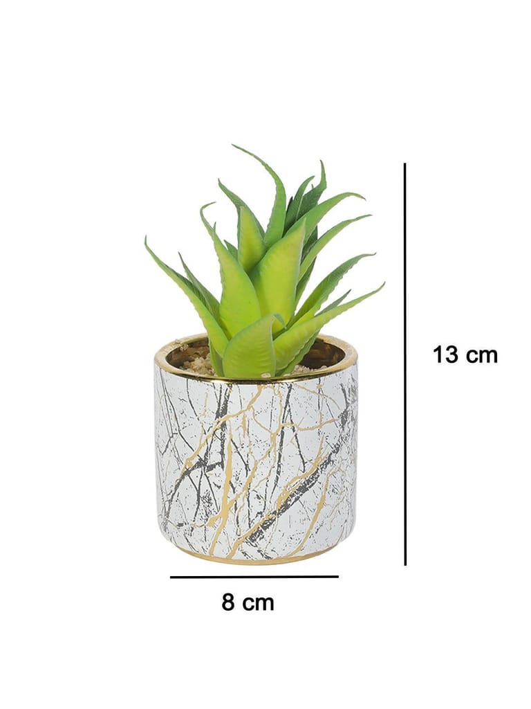 Market99 Fake Aloevera Desktop Planter