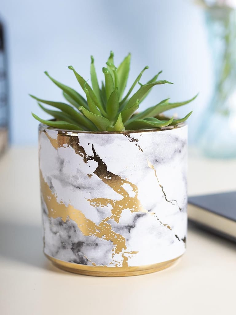 Market99 Fake Aloevera Desktop Planter