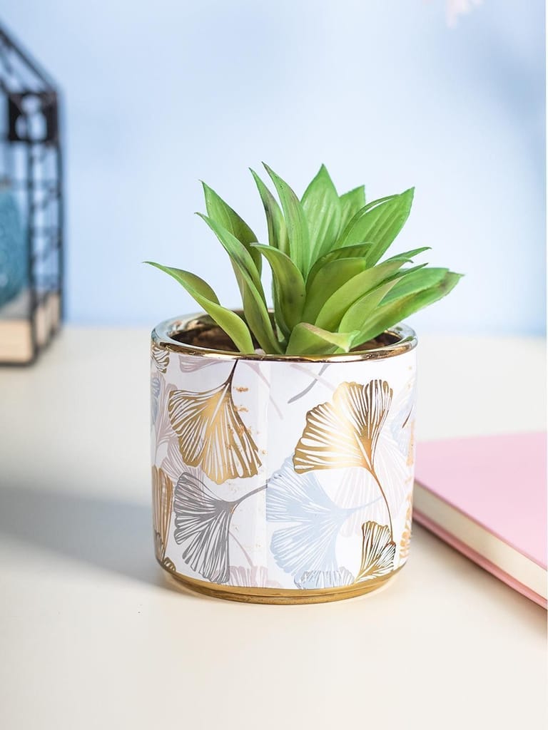 Market99 Fake Aloevera Desktop Planter