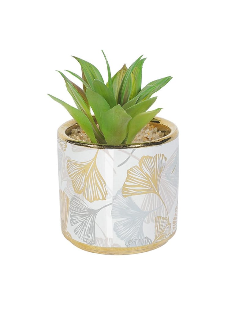 Market99 Fake Aloevera Desktop Planter