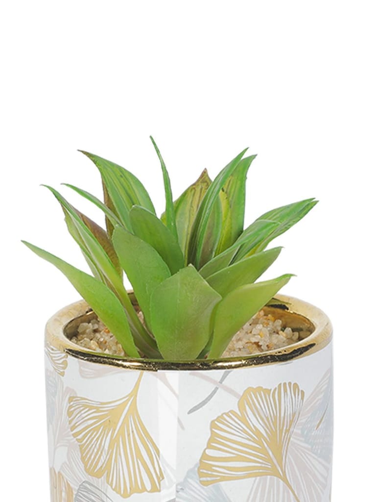 Market99 Fake Aloevera Desktop Planter